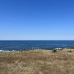 Земеделски имот в с. Варвара, Област Бургас -  кв.м за 10200 €/дка - Снимка #1