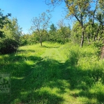 Парцел в Велико Търново, Център - 600 кв.м за 6 €/кв.м - Снимка #1