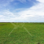 Парцел в Пловдив, Захарна фабрика - 28799 кв.м за 18 €/кв.м - Снимка #1