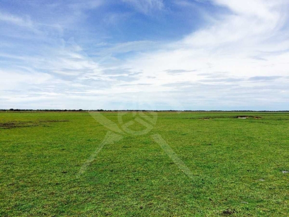 Парцел в Пловдив, Захарна фабрика - 28799 кв.м за 18 €/кв.м - Снимка #1