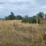 Парцел в с. Ботево, Област Варна - 1500 кв.м за 7 €/кв.м - Снимка #1