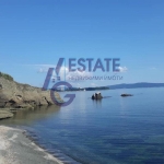 Къща в с. Лозенец, Област Бургас - 102 кв.м за 3922 €/кв.м - Снимка #1