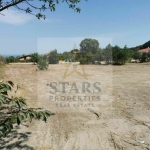 Парцел в Варна, Виница - 765 кв.м за 73 €/кв.м - Снимка #1