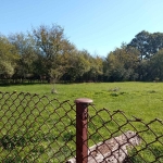 Парцел в с. Равнище, Област София-област - 1400 кв.м за 9 €/кв.м - Снимка #1