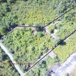 Парцел в Севлиево - 2840 кв.м за 3 €/кв.м - Снимка #1