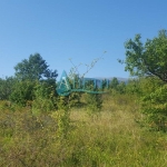 Парцел в с. Бистрица, Област София-град - 2110 кв.м за 72 €/кв.м - Снимка #1