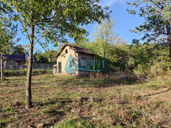 Парцел в с. Подгумер, Област София-град - 894 кв.м за 55 €/кв.м - Снимка #1