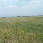 Парцел в с. Волуяк, Област София-град - 10000 кв.м за 75 €/кв.м - Снимка #1