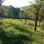 Парцел в с. Рибарица, Област София-област - 1017 кв.м за 11 €/кв.м - Снимка #1