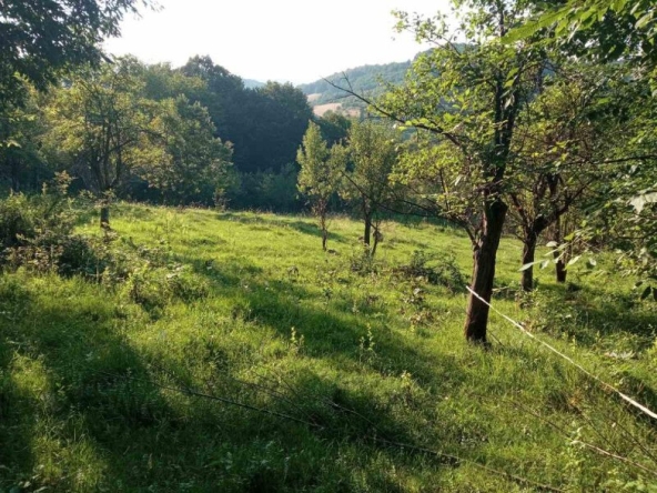 Парцел в с. Рибарица, Област София-област - 1017 кв.м за 11 €/кв.м - Снимка #1