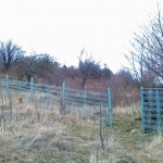 Парцел в с. Горна Диканя, Област Перник - 1000 кв.м за 11 €/кв.м - Снимка #1