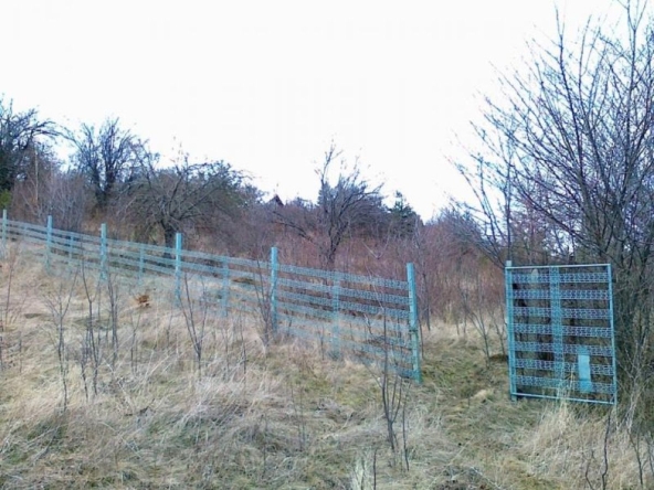 Парцел в с. Горна Диканя, Област Перник - 1000 кв.м за 11 €/кв.м - Снимка #1