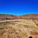 Парцел в Дебелец - 1096 кв.м за 57 €/кв.м - Снимка #1