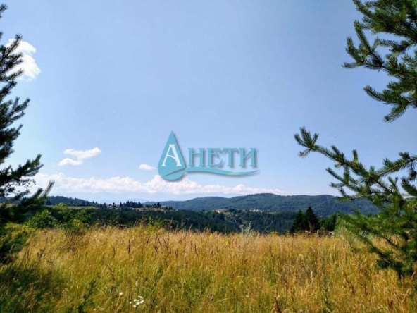 Парцел в с. Плана, Област София-град - 12500 кв.м за 39 €/кв.м - Снимка #1