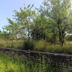 Парцел в с. Ловнидол, Област Габрово - 1750 кв.м за 8 €/кв.м - Снимка #1