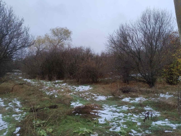 Парцел в с. Николаево, Област Перник - 800 кв.м за 11 €/кв.м - Снимка #1