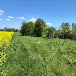 Парцел в с. Бенковски, Област София-област - 1800 кв.м за 0 €/кв.м - Снимка #1