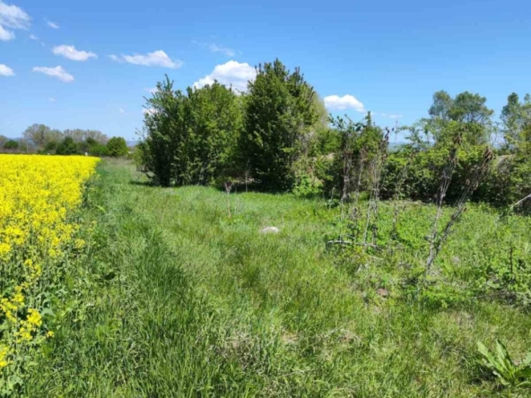 Парцел в с. Бенковски, Област София-област - 1800 кв.м за 0 €/кв.м - Снимка #1