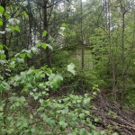 Земеделски имот в Велинград -  кв.м за 32634 €/дка - Снимка #1