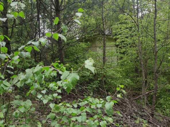 Земеделски имот в Велинград -  кв.м за 32634 €/дка - Снимка #1