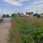 Парцел в с. Ясен, Област Плевен - 3000 кв.м за 26 €/кв.м - Снимка #1