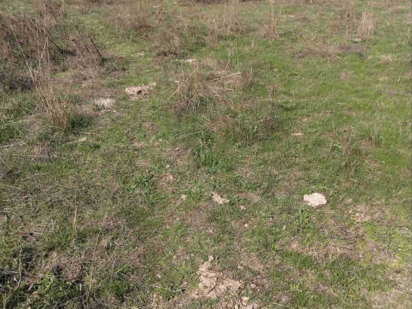 Парцел в с. Пъстрен, Област Стара Загора - 1500 кв.м за 5 €/кв.м - Снимка #1