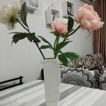 Дава се под наем Двустаен апартамент в к.к. Слънчев бряг - 47 кв.м за 153 € - Снимка #1