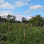 Парцел в с. Белгун, Област Добрич - 1500 кв.м за 7 €/кв.м - Снимка #1