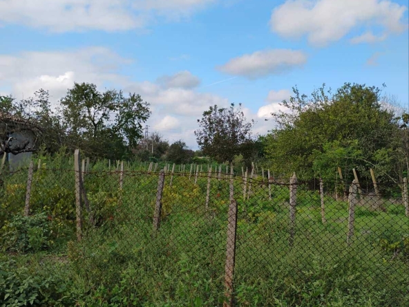 Парцел в с. Белгун, Област Добрич - 1500 кв.м за 7 €/кв.м - Снимка #1