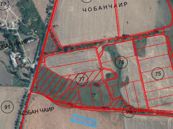 Земеделски имот в с. Шейново, Област Стара Загора -  кв.м за 2040 €/дка - Снимка #1