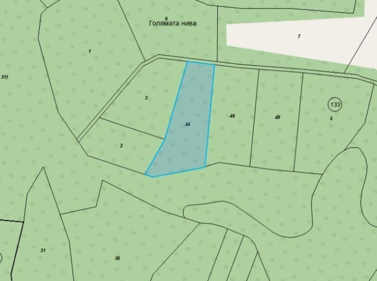 Парцел в с. Ново Паничарево, Област Бургас - 4669 кв.м за 1 €/кв.м - Снимка #1