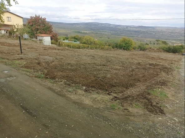 Земеделски имот в с. Зетьово, Област Бургас -  кв.м за 8109 €/дка - Снимка #1