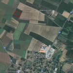 Земеделски имот в Вълчедръм -  кв.м за 1722 €/дка - Снимка #1