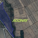 Парцел в с. Хаджидимитрово, Област Ямбол - 60810 кв.м за 8 €/кв.м - Снимка #1