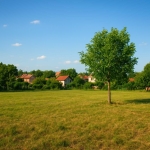 Парцел в с. Габарево, Област Стара Загора - 770 кв.м за 30 €/кв.м - Снимка #1