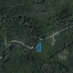 Парцел в с. Писарово, Област Плевен - 2002 кв.м за 1 €/кв.м - Снимка #1