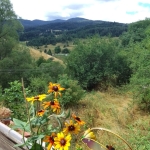 Парцел в с. Лилково, Област Пловдив - 828 кв.м за 7 €/кв.м - Снимка #1