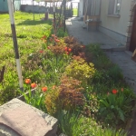 Къща в с. Каменец, Област Плевен - 80 кв.м за 478 €/кв.м - Снимка #1