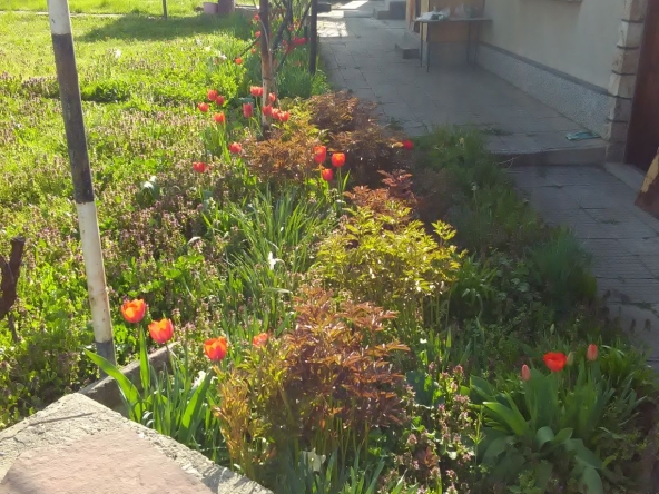 Къща в с. Каменец, Област Плевен - 80 кв.м за 478 €/кв.м - Снимка #1