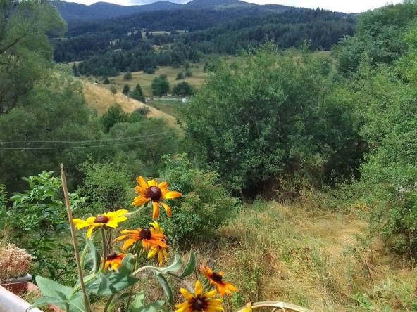 Къща в Пловдив, Сточна гара - 828 кв.м за 7 €/кв.м - Снимка #1