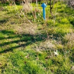 Парцел в с. Подем, Област Плевен - 960 кв.м за 6 €/кв.м - Снимка #1