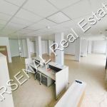 Дава се под наем Магазин в София, Младост 1 - 550 кв.м за 5000 € - Снимка #1