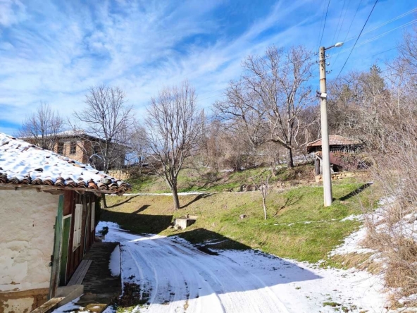 Парцел в Елена - 870 кв.м за 6 €/кв.м - Снимка #1