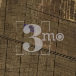 Парцел в с. Равно поле, Област София-област - 5420 кв.м за 30 €/кв.м - Снимка #1