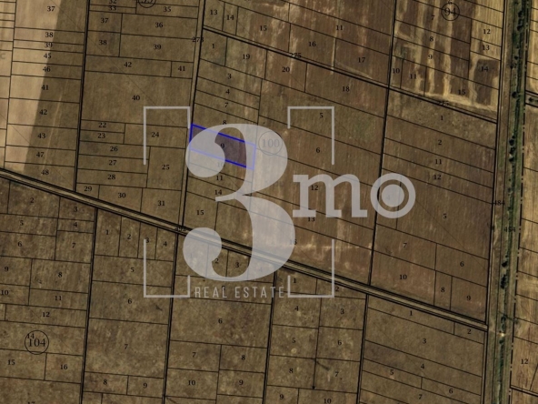 Парцел в с. Равно поле, Област София-област - 5420 кв.м за 30 €/кв.м - Снимка #1