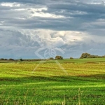 Парцел в с. Медово, Област Бургас - 975 кв.м за 13 €/кв.м - Снимка #1