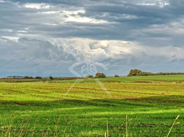 Парцел в с. Кошарица, Област Бургас - 1500 кв.м за 9 €/кв.м - Снимка #1