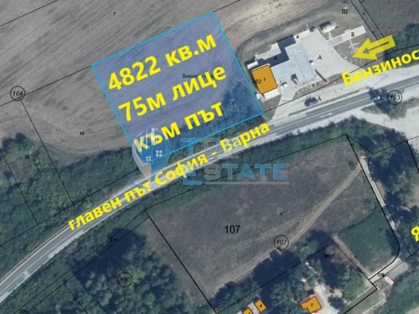 Парцел в с. Добри дял, Област Велико Търново - 4822 кв.м за 3 €/кв.м - Снимка #1