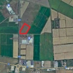 Земеделски имот в с. Оризари, Област Пловдив -  кв.м за 35 €/дка - Снимка #1