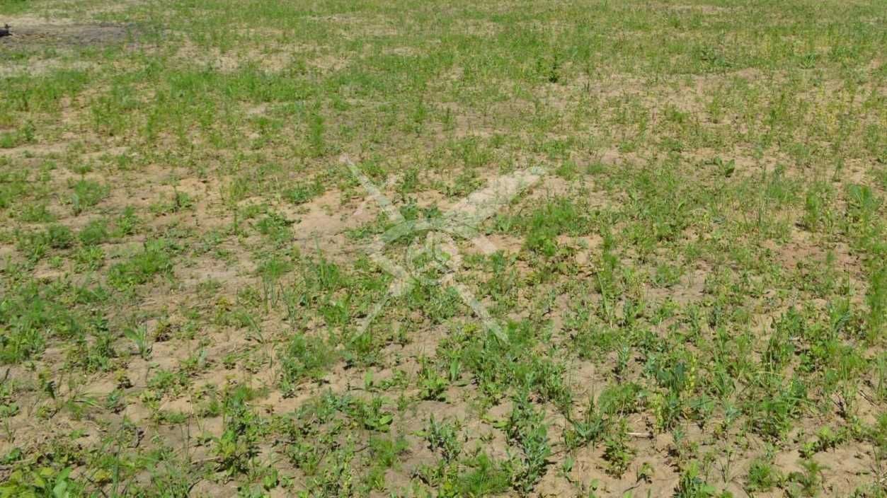 Парцел в с. Стряма, Област Пловдив - 3013 кв.м за 25 €/кв.м - Снимка #1